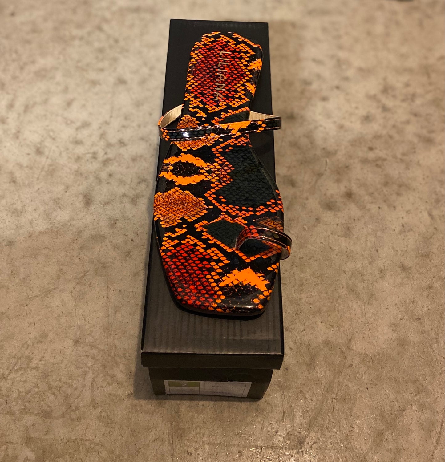 Snake Print Slides